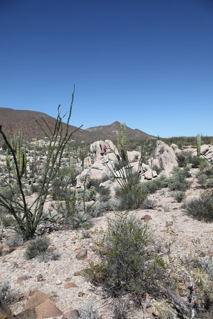IMG 0020 (2)
